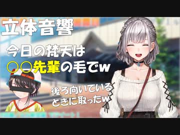 【ASMR】先輩の毛で梵天をするノエル【ホロライブ切り抜き/白銀ノエル】