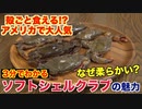 【殻ごと食べられる？】ソフトシェルクラブってなに？魅力と食べ方