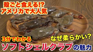 【殻ごと食べられる？】ソフトシェルクラブってなに？魅力と食べ方