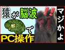 [ BMI ]Neuralink の最新研究成果の紹介．猿が脳に埋めた電極でPCを操作!? [ Rue ] バーチャルサイエンティストの卵