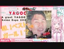 YAGOOが神になる極秘映像(？)を入手した博衣こより【ホロライブ切り抜き】