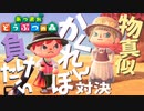 【あつ森】島かくれんぼをやって罰ゲームで物真似してみた