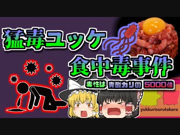 【2011年富山】全国からユッケが消えたきっかけ『焼肉店ユッケ集団食中毒』【ゆっくり解説】