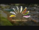 【渓流釣り】SPEARHEAD RYUKIだけで釣ってみた