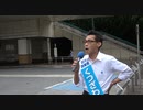 練馬駅前選挙活動「夫婦別姓を立憲や共産が推す目的は戸籍の破壊と社会の混乱」20220705
