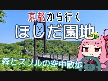 運転初心者でも行ける！ほしだ園地【京都から行く初心者ドライブスポット #18】