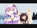 ロマンスのまな板