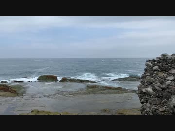 海（動画素材）