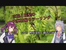 【CeVIO車載】六花と花梨の九州日帰りツーリング　part3「樫原湿原と観音の滝」【VT750S】