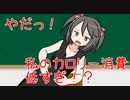シコシコ１回で消費されるカロリーは？