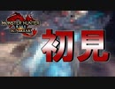 【実況】初見でラスボスに挑む。どうやら英雄になるべきは俺じゃなかったようだ【MHRISE:SUN BREAK】part16