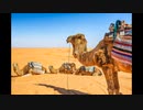Tαξίδι Τυνησία | exotictrips.gr