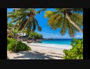 Ταξίδι Ζανζιβάρη | exotictrips.gr