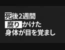 【規制音なし】黒塗り世界宛て書簡 【本家比較版】