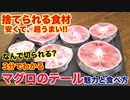 【捨てられる!_】格安マグロのテールが思った以上に美味かった！！