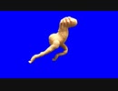 走るあみぐるMUR肉BB