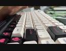 [ASMR•音フェチ] 音が最高なメカニカルキーボードのタイピング音 / Akko ocean blue スイッチ