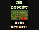 みなさんは畑で種を植える時の豆知識は知っていますか？「#shorts 」【minecraft】【マインクラフト】【マイクラ】