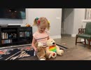 Rainbow bear