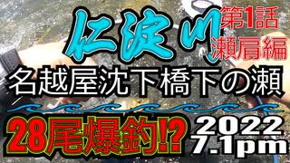 アユの友釣り 仁淀川(高知県) 名越屋沈下橋下の瀬 第一話 2022.7.1pm