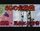 5Gがもたらす身体への悪影響。身体を蝕み、いずれ耐えられなくなる。