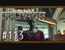 実況 ◇ The Elder Scrolls IV: オブリビオン ◇ 第113幕