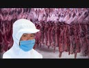 引退したウ◯娘を馬肉に加工する先輩