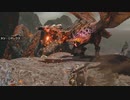 【MHRise】矢一本 vs ヌシ・リオレウス Ver.short