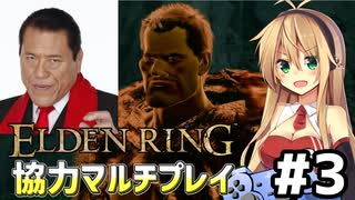 【ELDEN RING】弦巻マキと太陽戦士が行く共闘記　3【協力プレイ】