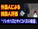 【韓国の反応】 韓国人に対する 外国人の 評価が コチラ → 韓国人 「否定できない」