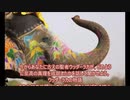 ヨーガ・ヴァーシシュタ５－３１