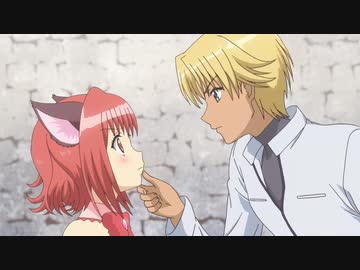 東京ミュウミュウにゅ～♡ 第1話「どーなってるの！？　今日から正義の味方だにゃん！」