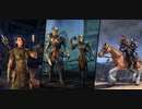 ESO ノルドの魔女ですが！それが何か？　3
