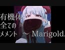 【第14回東方ニコ童祭】有機体全てのメメント　〜 Marigold.【東方アレンジ】
