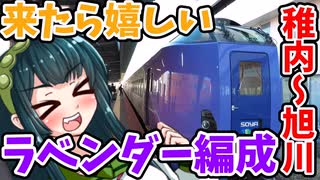 【ボボボ旅行】ちょっと豪華な特急宗谷が稚内駅にやって来た！