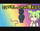 ミミズにおしっこするとなぜ腫れるのか？（ずんだもんと学ぶ）【voiceroid解説/voicevox解説】