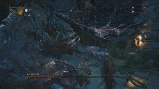 【ゆっくり実況】ヘタクソでもがんばるBloodborne　7