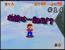 【スーパーマリオ６４】トレードマークは大事【実況】 Part14