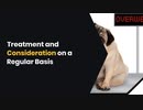 Treatment and Consideration on a Regular Basis