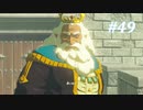 【ゼルダの伝説BotW】実況プレイ-part49-