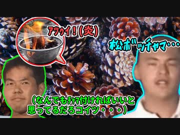 この辺にぃ、松ぼっくり無限湧きスポット来てるらしいっすよ【迫真野営部】