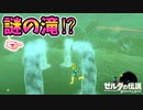 ヴァ･ルッタを2体召喚すると割と大変な事に！？【ブレワイ BotW】裏技 バグ 検証 ゆっくり実況 glitch