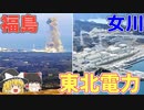 【ゆっくり解説】女川原発と福島第一原発、なぜ震災で差がついたのか【東北電力】【就活】