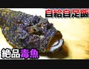 【ぴ】モリ突きで自給自足飯　海で食材をとって暮らす　魚突き