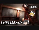 ゆっくりとウミガメのスープをやってみた:13「闇属性」