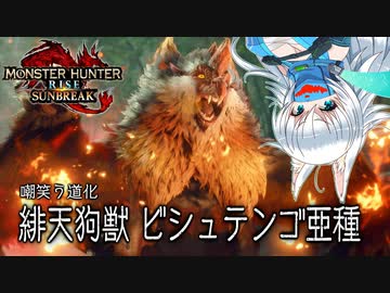 【MHRise:SB】スラアク使いの狼ちゃんが征くサンブレイク！Part2【ゆっくり実況】