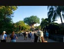 DISNEY WORLD Part 3 (Animal Kingdom)