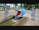 【北海道の名水】標茶町磯分内のカバを撮ってみた 【穴場スポット】