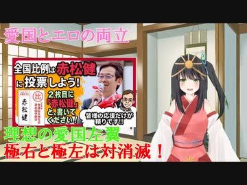 愛国とエロの両立、理想の愛国左翼、極右と極左は対消滅（愛国左翼系バ美肉Vtuber）
