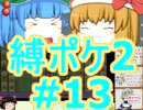 (ポケモンど鬼畜縛り)縛り好きのための、ポケモンルビーゆっくり実況解説プレイ2 part13